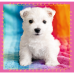 3 Puzzle in 1 - Cagnolini nel Bagno - immagine 5