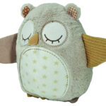 Nighty Night Owl Smart Sensor
