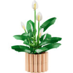 Botanicals - Spatifillo - immagine 4