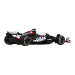 HW Premium F1 - immagine 2