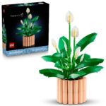 Botanicals - Spatifillo - immagine 3