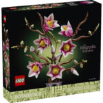 Botanicals - Rametti di magnolia