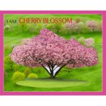 Puzzle da 1000 Pezzi Sagomato - I Am Cherry Blossom - immagine 2