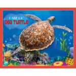 Puzzle da 100 Pezzi Sagomato - I Am Lil'  Sea Turtle - immagine 4