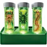 Kidzlabs - Laboratorio Insetti Luminescenti - immagine 2