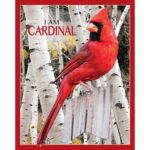 Puzzle da 1000 Pezzi Sagomato - I Am Cardinal - immagine 3