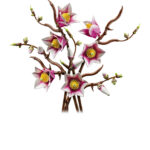 Botanicals - Rametti di magnolia - immagine 4