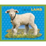 Puzzle da 48 Pezzi Sagomato - I Am Lil' Lamb - immagine 3