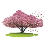 Puzzle da 1000 Pezzi Sagomato - I Am Cherry Blossom - immagine 3