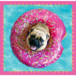 3 Puzzle in 1 - Cagnolini nel Bagno - immagine 4