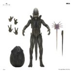 Alien: Earth Ultimate Action Figure Xenomorph 18 cm - immagine 2