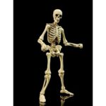 Epic &nbsp;H.A.C.K.S. Action Figure 1/12 Skeleton Blank Classic Bone
