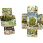 Forest Shuffle - Dartmoor: Ed. Italiana - immagine 2