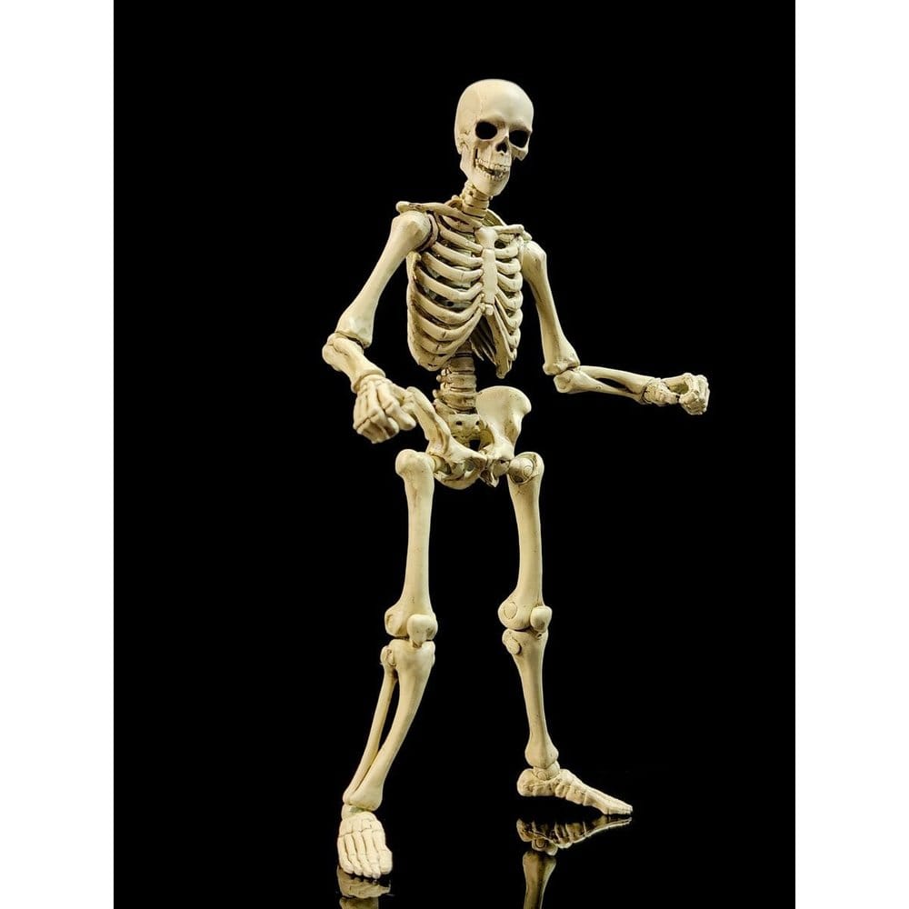 x_bofi-eh0026 Epic H.A.C.K.S. Action Figure 1/12 Skeleton Blank Classic Bone - immagine 1
