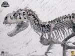 Jurassic World Statue 1/24 Indominus Rex Skeleton Bronze 24 cm - immagine 2