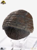 Jurassic Park 1/1 Replica Triceratops Toenail 16 cm - immagine 2