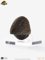 Jurassic Park 1/1 Replica Triceratops Toenail 16 cm - immagine 3