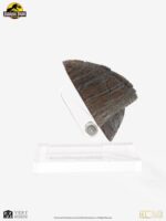 Jurassic Park 1/1 Replica Triceratops Toenail 16 cm - immagine 6
