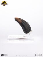 Jurassic Park 1/1 Replica Velociraptor Toenail Type A 11 cm