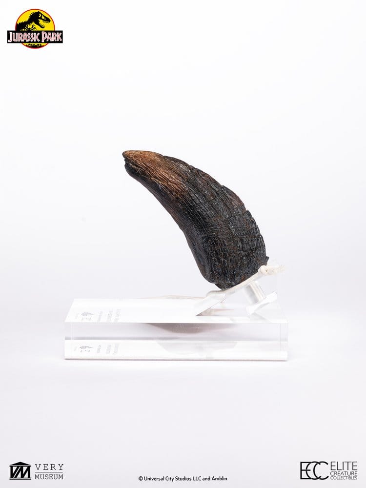 x_ecc19070 Jurassic Park 1/1 Replica Velociraptor Toenail Type A 11 cm - immagine 1
