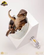 Jurassic Park Replica Bust Velociraptor Hatching Egg 24 cm - immagine 5