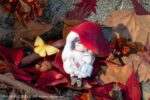 Original Character PVC Figure 1/1 The Arrival of Autumn Deluxe Edition 11 cm - immagine 3