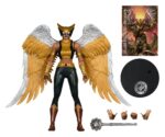 DC Multiverse McFarlane Collector Edition Action Figure Hawkgirl (Kendra Saunders) 28 cm - immagine 3