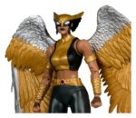 DC Multiverse McFarlane Collector Edition Action Figure Hawkgirl (Kendra Saunders) 28 cm - immagine 4