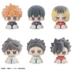 Haikyu!! Nuippo Mini Figures 6 cm Blind Box Display (6)