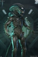 Alien: Earth Ultimate Action Figure Xenomorph 18 cm - immagine 3