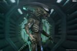 Alien: Earth Ultimate Action Figure Xenomorph 18 cm - immagine 4