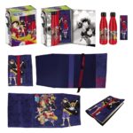 One Piece Steel Bottle, Sticker, Book Cover Gift Set Blue