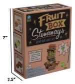 Fruit Box Stowaways DIY Craft Kit Blind Box Display (6) - immagine 2