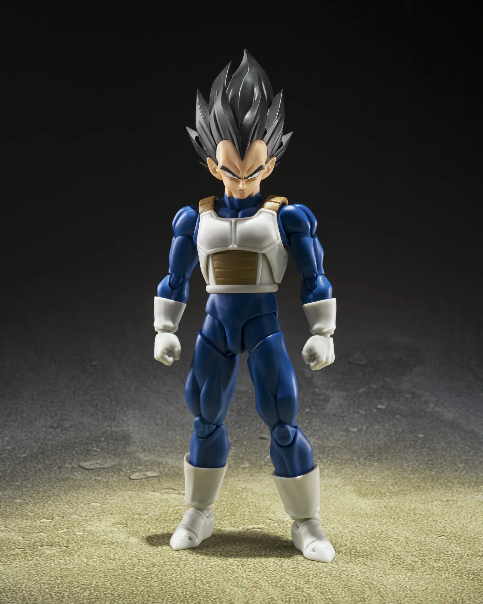 117229__656b6747 DRAGON BALL Z VEGETA Z FIGHTER S.H.FIGUARTS - immagine 1