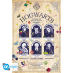 HARRY POTTER - Poster Maxi 91.5 1 FSC MIX - Student Yearbook