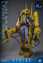 Alien Movie Masterpiece Figure Set 1/6 Ellen Ripley and Power Loader 52 cm - immagine 3