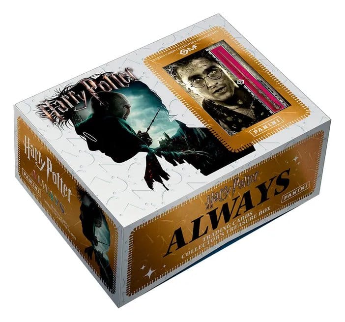 x_pn61560 Harry Potter Premium Treasure Box - immagine 1