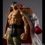 One Piece Variable Action Heroes Action Figure White Beard Edward Newgate Ver.1.5 24 cm - immagine 5