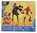 Marvel Legends Action Figure 2-Pack Storm & Wolverine 15 cm - immagine 3